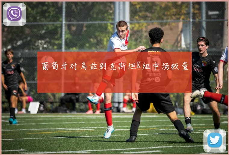 葡萄牙对乌兹别克斯坦K组中场较量