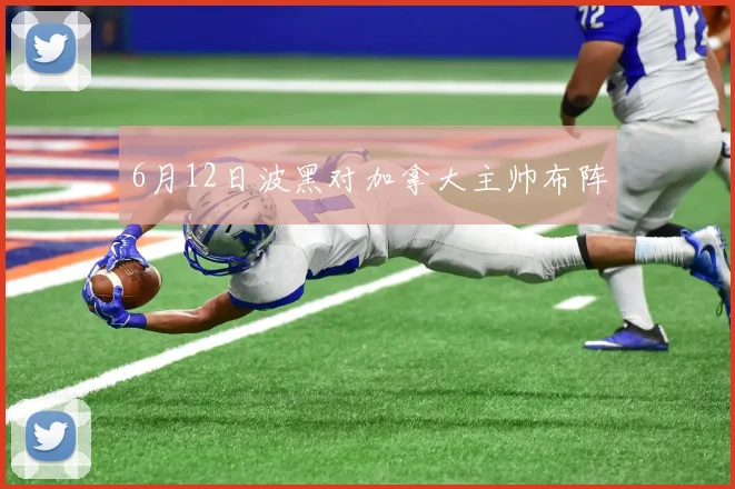 6月12日波黑对加拿大主帅布阵