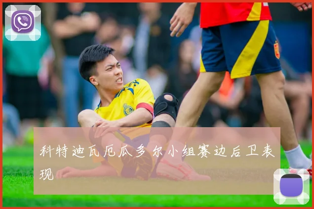 科特迪瓦厄瓜多尔小组赛边后卫表现