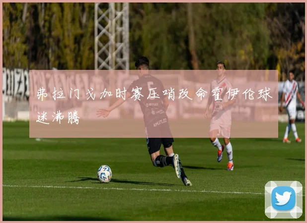 弗拉门戈加时赛压哨改命霍伊伦球迷沸腾