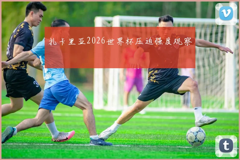 扎卡里亚2026世界杯压迫强度观察