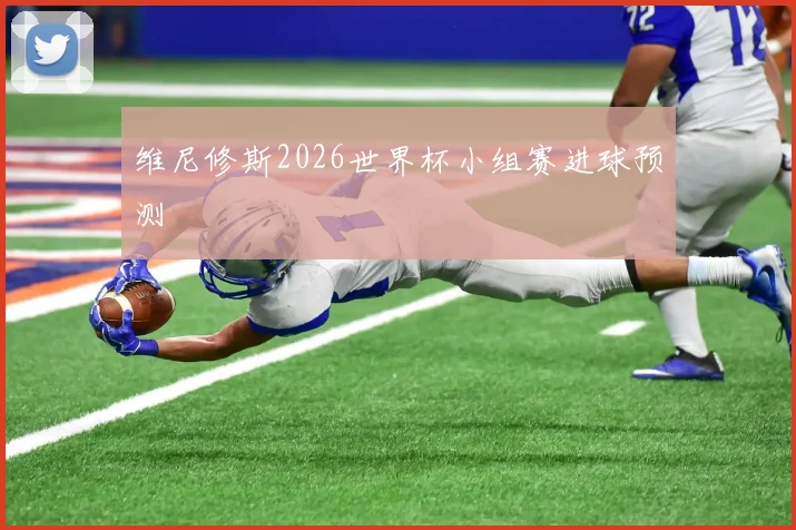 维尼修斯2026世界杯小组赛进球预测