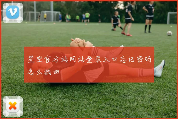 星空官方站网站登录入口忘记密码怎么找回