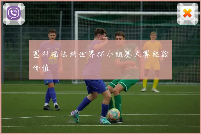 塞科福法纳世界杯小组赛大赛经验价值