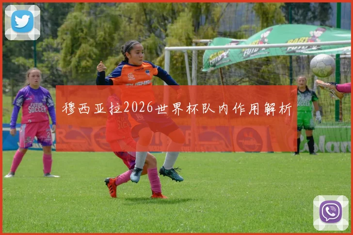 穆西亚拉2026世界杯队内作用解析
