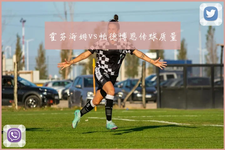 霍芬海姆vs帕德博恩传球质量