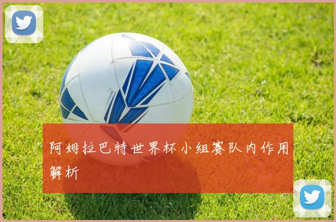 阿姆拉巴特世界杯小组赛队内作用解析